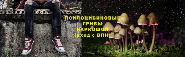 apvp Козловка