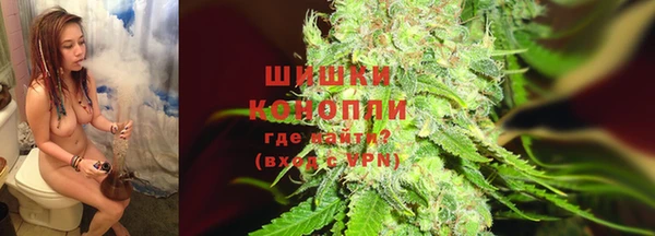 прущие грибы Кодинск