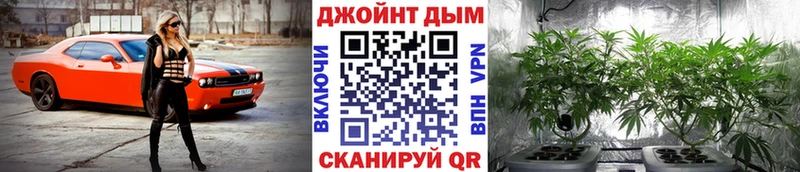 Купить Бирюч Шишки марихуана семена
